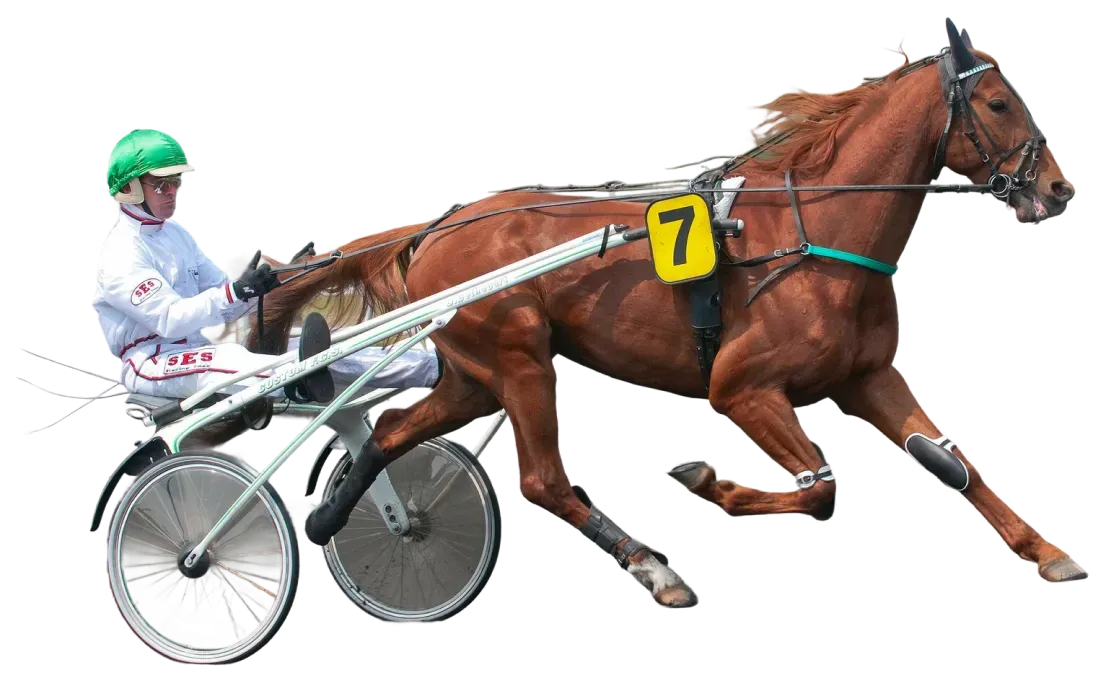 Top Gum Plaque Sulky En France Floten Image